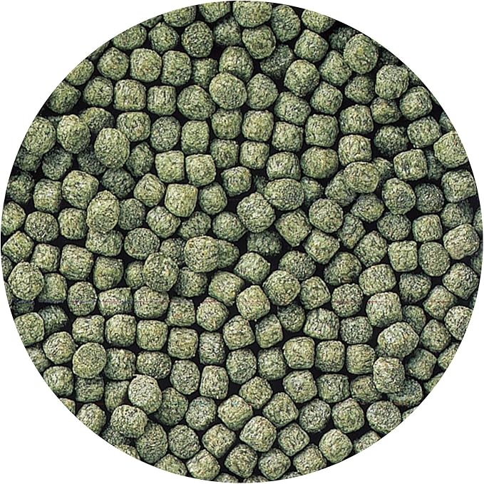 Hikari Staple Fish Food for Koi and Other Pond Fishes, Mini Pellets, 22 lb. (10 kg)
