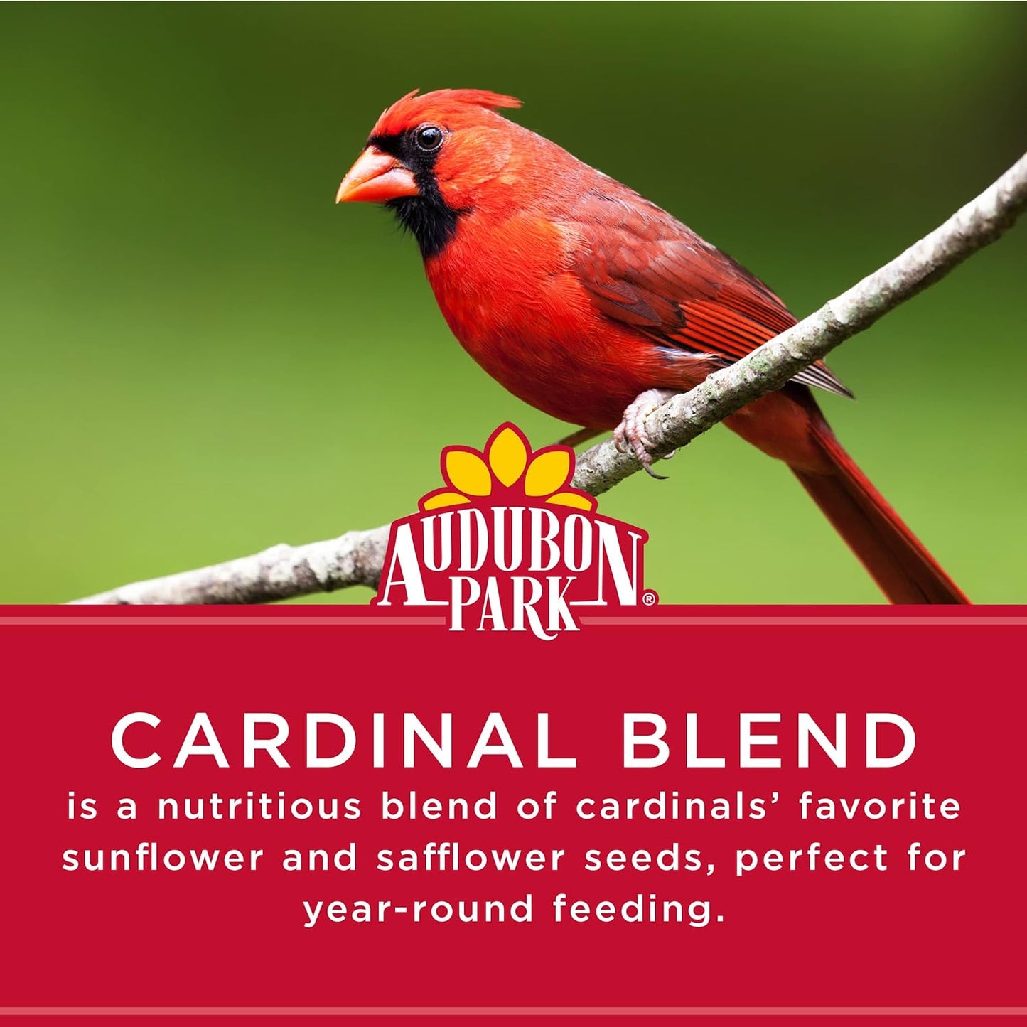 Audubon Park Cardinal Blend Wild Bird Food, Cardinal Bird Seed for Outside Feeders, 4-Pound Bag (Pack of 2)
