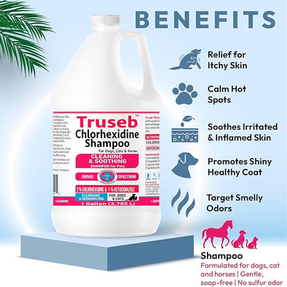 Truseb Topical Ketoconazole and Chlorhexidine Shampoo for Dogs, Cats & Horses Pleasantly Scented with a Cucumber Melon Scent with Aloe (Ketoconazole & Chlorhexidine Shampoo, 1 Gallon)