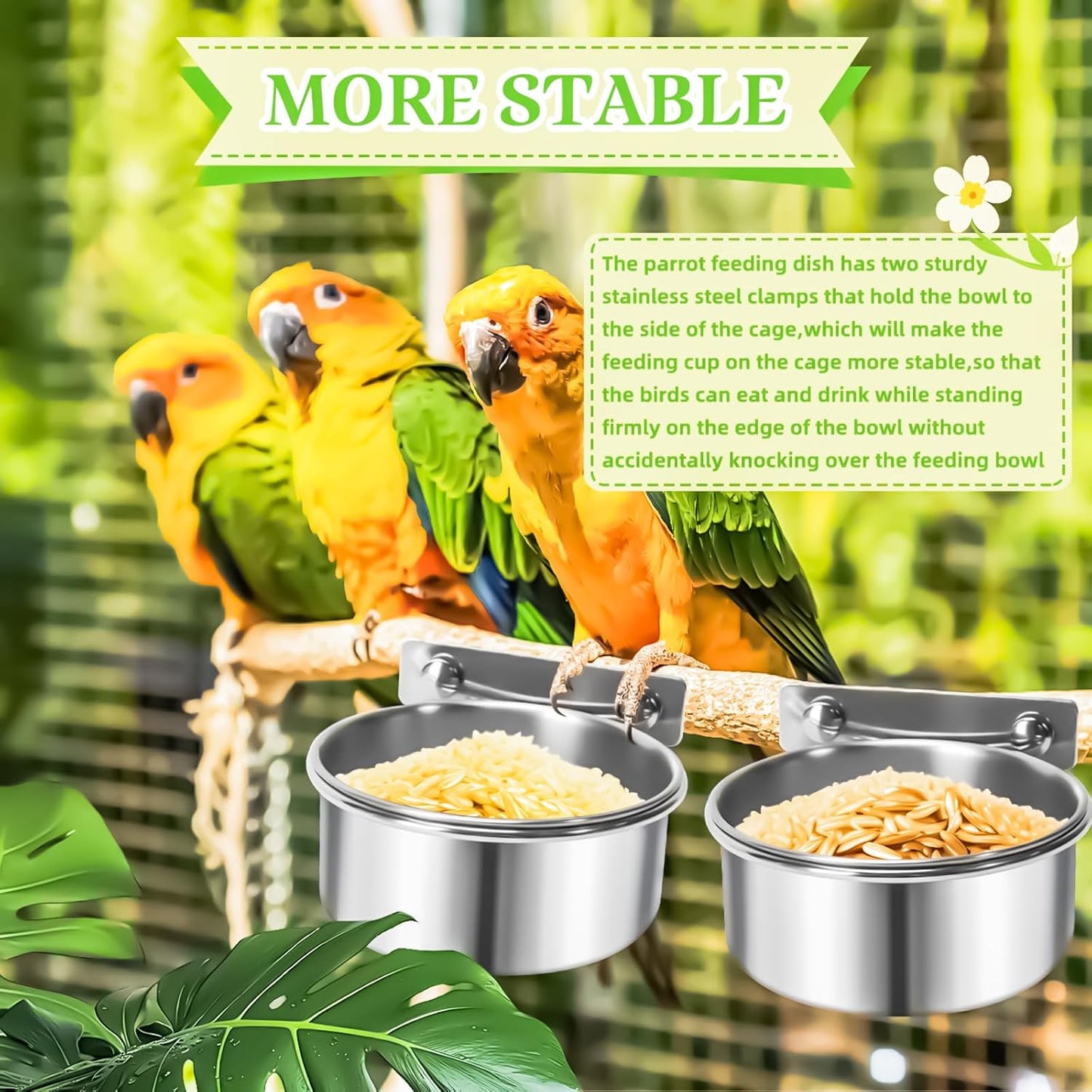 MotBach 2 Pack Bird Feeding Bowls Cups Parrot Food Water Dishes, Stainless Steel Bird Bowl Cup Dish with Clamp, Birdcage Feeder Pet Cage Bowls for Parrot Cockatiel Budgie Conure Parakeet Small Animal