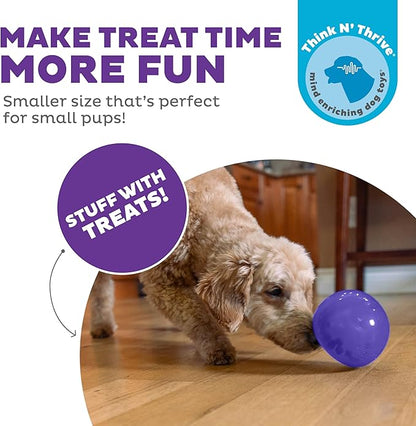 Outward Hound Lil' Snoop Interactive Treat Dispensing Dog Toy, Puzzle Ball Slow Feeder for Small to Medium Dogs, Mint-Scented for Mental Stimulation & Boredom Relief, BPA-Free, 3.9-Inch, Purple