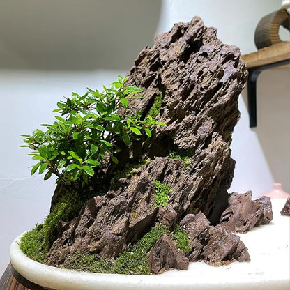 5LB Aquarium Rocks Dragon Stone for Aquariums Aquascaping Landscaping Model Fish Tanks Terrariums Vivariums Decoration Paludarium Amphibian Enclosures-2-4 Inches