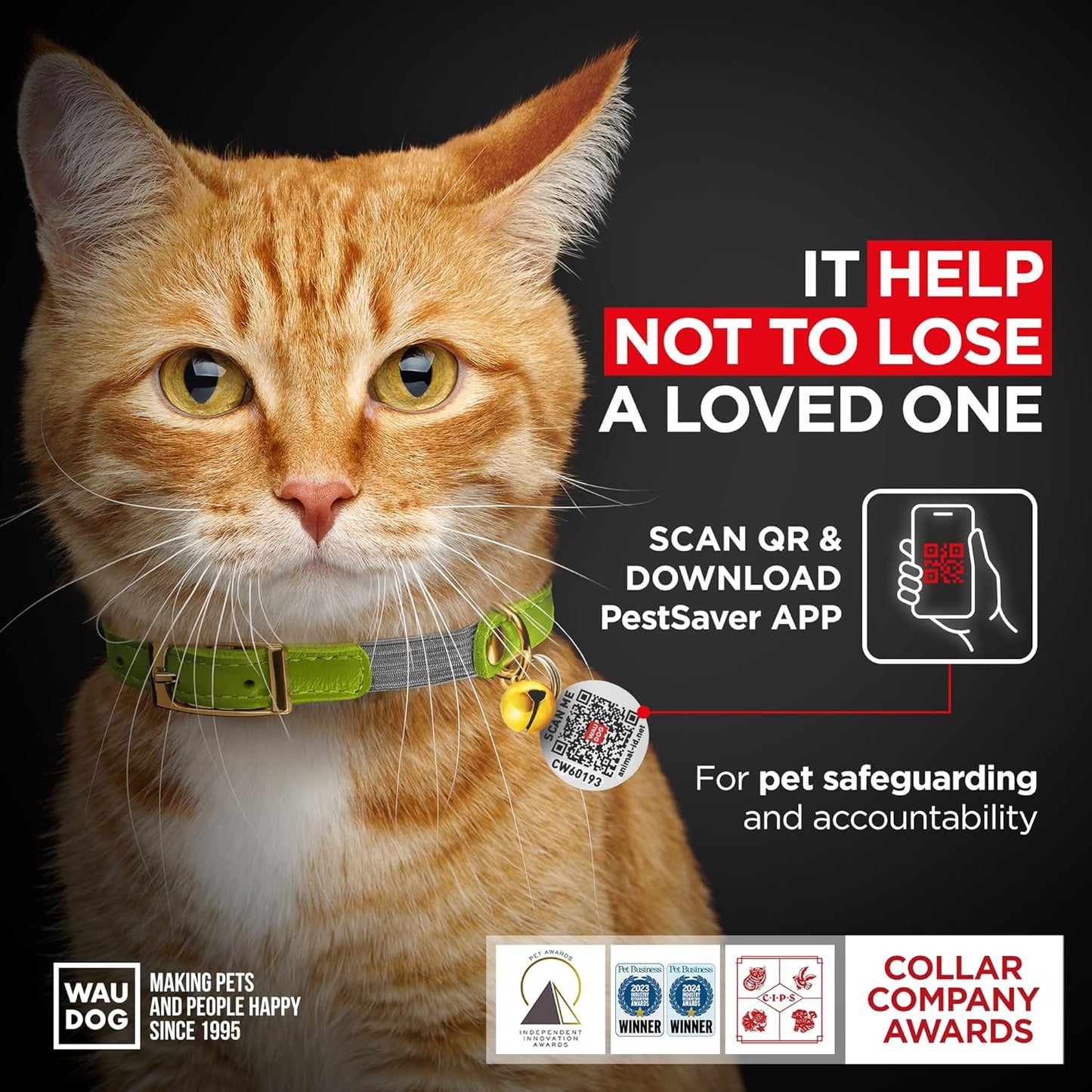 WAUDOG Ultra Soft Rolled Leather Cat Collar with Removable Bell, Safety Elastic Strap and QR ID Tag - Soft Padded for Small, Medium, and Large Cats - Round Kitten Collar for Male and Female Cats