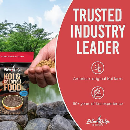 Blue Ridge Koi Fish Food 2lb - Koi Food Mini Growth Formula, Goldfish Food, Premium Fish Food for Ponds, Ponds Fish Food, Floating Pond Pellets