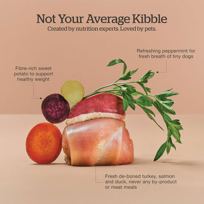 Now Fresh Grain-Free Small Breed Senior Dry Dog Food with Turkey, Salmon & Duck, Premium Kibble Made with Real Meat & Fish, Chicken-Free, Added Glucosamine & Chondroitin for Healthy Joints, 12 lb Bag