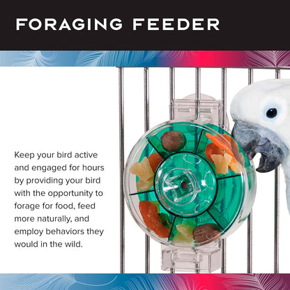 Featherland Paradise - Creative Foraging Systems Bird Cage Feeder (Gen II) - Extra Large- Intermediate Level Foraging Wheel - Interactive Bird Feeder for Large Birds