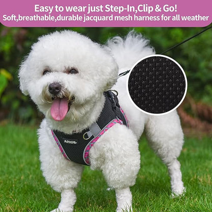 AIITLE Dog Harness and Leash Set - Ultra-Comfortable Vest with Strong Magic Tape & Glow-in-Dark Reflective Strips, Chafe-Free for Teddy, Schnauzer (Black, M)
