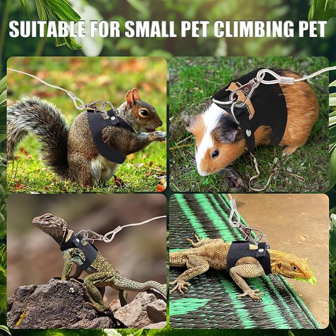 Bearded Dragon Leash and Harness Set, 3 Size Adjustable Soft Leather Lizard Leash Training Walking Prevent Escape, Spring Can be Stretched to 3m, for Iguana Squirrels Small Reptiles Outdoors (Black)