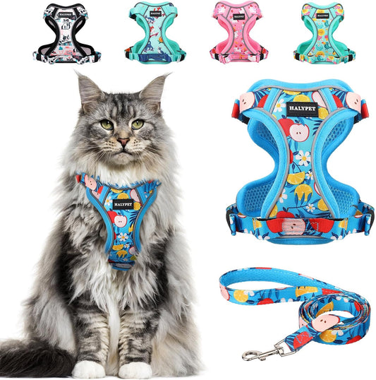 Halypet Cat Harness and Leash Set[MAX Safety 4th-Gen] Cute Escape Proof Vest Harness for Girl&Boy Cat Walking, Comfortable Adjustable Leash and Reflective Strips for Outdoor Kitten, M Azure Floral