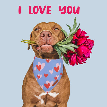 ADOGGYGO Valentine Dog Bandana, Blue Pink Heart Pet Scarf, Premium Durable Fabric, Adjustable Fit Pet Valentine Bandanas for Large and Extra Large Dogs (X-Large)