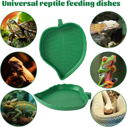 4Pack Terrarium Bowls Turtle Feeding Dishes Shallow and Flat Reptile Food and Water Feeder for Tortoise,Bearded Dragon,Lizards,Gecko,Cute Leaf and Mango Shaped
