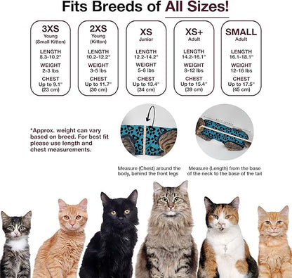 Bellyguard Cat Recovery Suit Female and Male, Comfy Onesie After Surgery, Kitten Clothes for Post-Op Care, Neuter and Spay Healing Outfits for Cats Only – Comfortable Kitten and Adult Cone Alternative