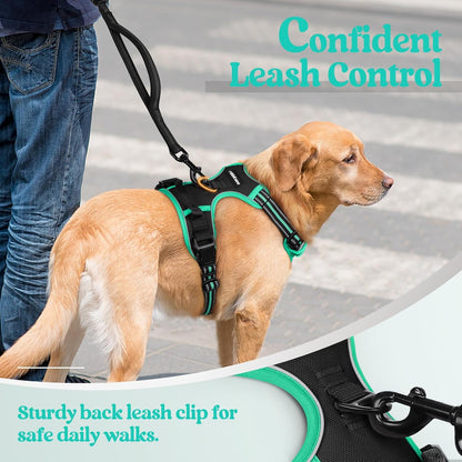 rabbitgoo Dog Harness No Pull with 2 Leash Clips, Adjustable Soft Padded, Reflective Oxford No Choke Pet Vest with Easy Control Handle for Large Dogs, Black & Turquoise, L