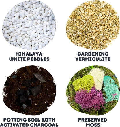 Cute Farms Terrarium Starter Kit | Moss, Vermiculite, Soil, Pebbles, Plant Food, & Finishing Tools (Large Kit + Crystals)