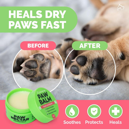 Natural Lick Safe Dog Paw Balm - 100% Organic Dog Paw Pad Balm Protector, Moisturizer & Soother for Dry Cracked Paws, Hot Pavement, Winter - Heals, Repairs & Restores - Coconut Oil, Shea Butter (2oz)