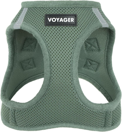 Best Pet Supplies Voyager Step-in Air Harness - All Weather Mesh, Reflective, No Pull Harness for Dogs, Cats - Secure with Hook & Loop Fastener, Buckle, Double D-Rings - Moss Green, M