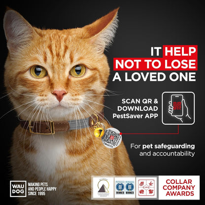 WAUDOG Ultra Soft Rolled Leather Cat Collar with Removable Bell, Safety Elastic Strap and QR ID Tag - Soft Padded for Small, Medium, and Large Cats - Round Kitten Collar for Male and Female Cats