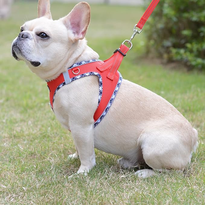 Mercano Soft Mesh Dog Harness and Leash Set, No-Chock Step-in Reflective Breathable Lightweight Easy Walk Vest Harnesses with Safety Buckle for Small Dogs, Cats (Red, XS)