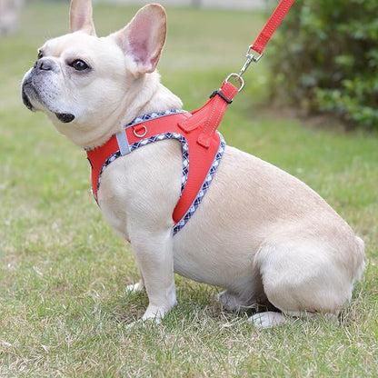 Mercano Soft Mesh Dog Harness and Leash Set, No-Chock Step-in Reflective Breathable Lightweight Easy Walk Vest Harnesses with Safety Buckle for Small Dogs, Cats (Red, M)