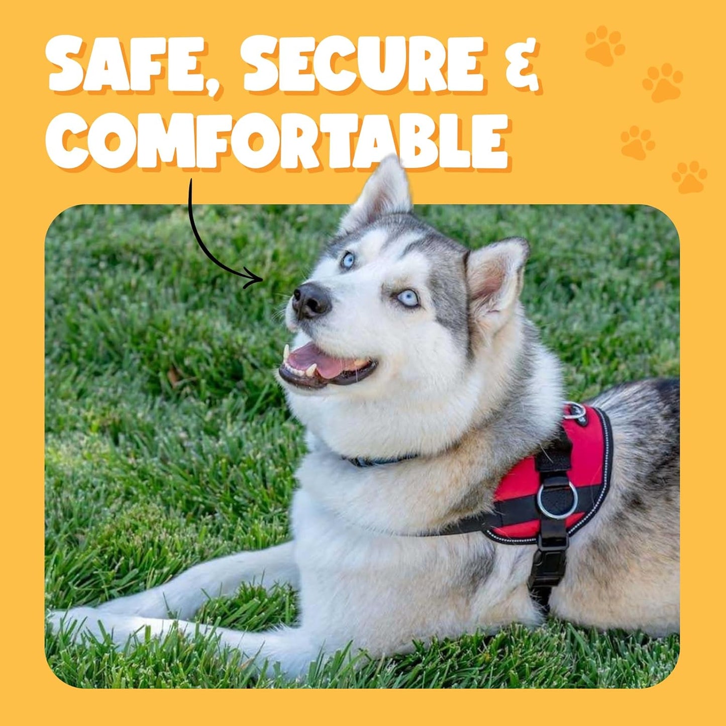 Bark Appeal Blue Hibiscus No-Pull Dog Harness for Large to Extra Large Sized Pets – Adjustable, Reflective Vest with 3 Leash Clips for Added Control, Easy Walks & Training – XL