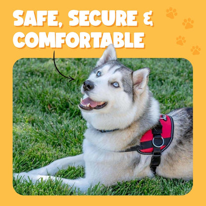 Bark Appeal Purple No-Pull Dog Harness for Extra Small Sized Pets – Adjustable, Reflective Vest with 3 Leash Clips for Added Control, Easy Walks & Training – XS