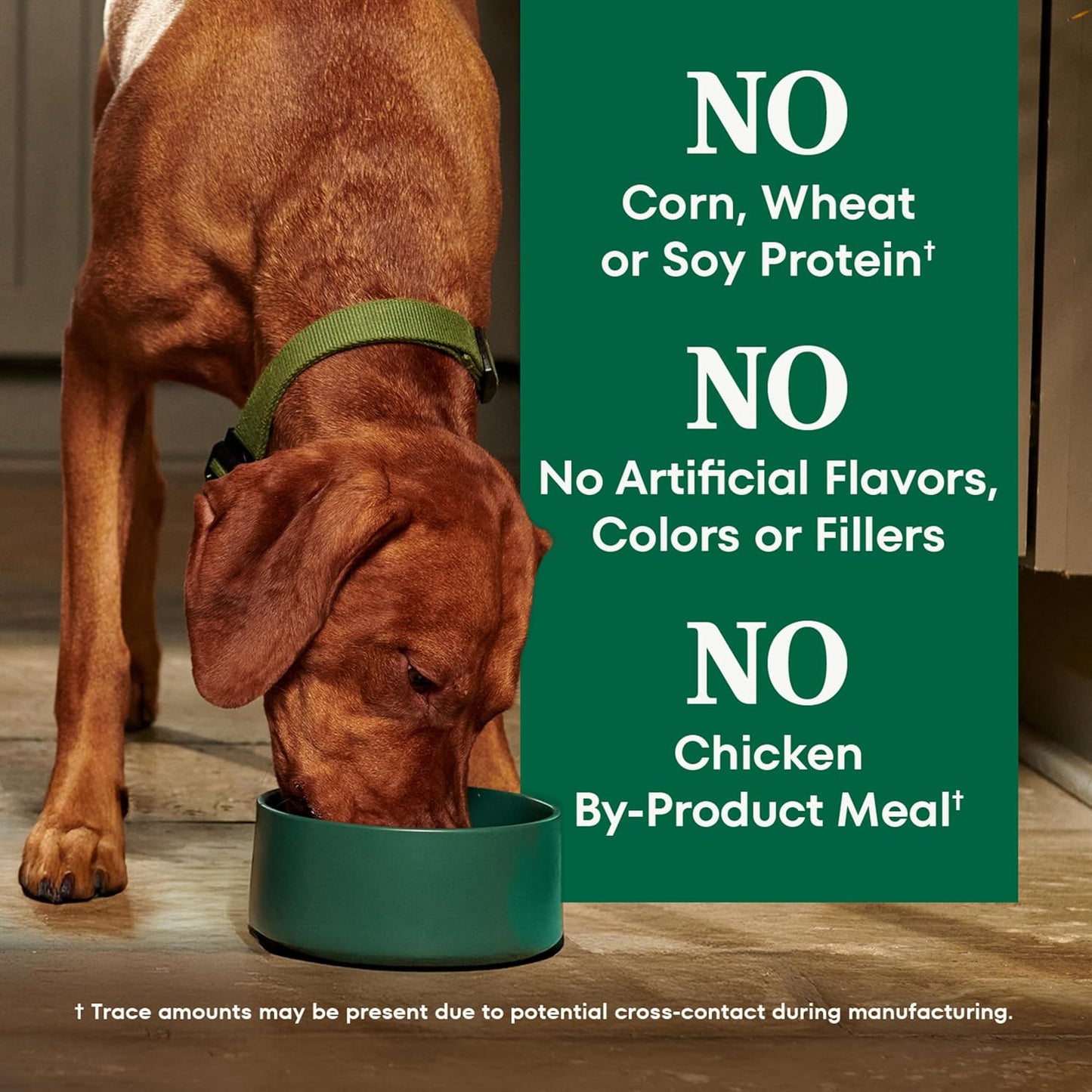 Nutro Natural Choice Lamb & Brown Rice Adult Healthy Weight Dog Food Recipe, 30 lb. Bag