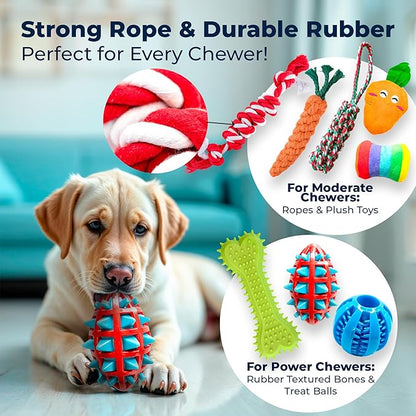 Pacific Pups 18 Piece Bulk Dog Toy Pack - Chew, Plush, and Rope Dog Toys to Keep Them Busy - Puppy Teething Chew Toys, Treat Ball, Squeaky Plushies, Tug of War Ropes, Rubber Chew - Helps Rescue Dogs