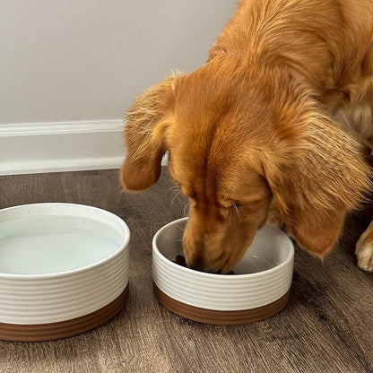 Mora Ceramic Pet Bowl Size Medium - Food/Water Dish for Large Puppies, Cats, Retrievers, Medium Sized Dogs, ect. 28oz or 4 Cups - Basic Bowls for Your Dog or Cat, Mix and Match for a Set - Vanilla