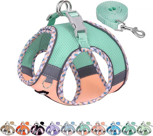 AIITLE XXS Dog Harness & Leash Set - Breathable Reflective No-Choke Small Dog Harness for Teacup Puppies, Indoor/Outdoor Use - Boston Terrier, Maltese, Chihuahua (Turquoise-Pink, XXS)