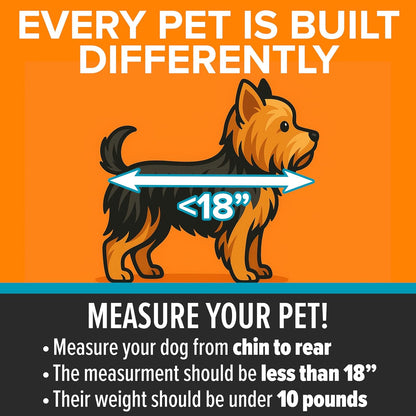 K&H Pet Products Enclosed Dog Cat Car Seat, Travel Safety Carrier for Pets, Dog Travel Car Seat, Soft-Sided Covered Cat Carrier, Washable Pad, Multiple Entrances, Mesh Windows - Small 17 X 16 X 15in