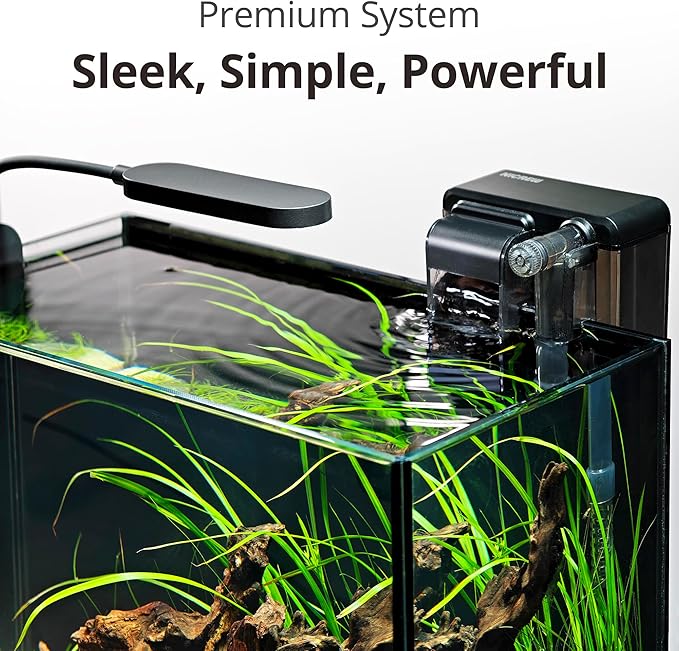 NICREW 2.5 Gallon Nano Nature Aquarium Kit, Ultra-Clear Rimless Desktop Fish Tank with Light, Filter, Gravel and Rock, Perfect for Small Fish, Shrimp, or Betta, Complete Version, Black