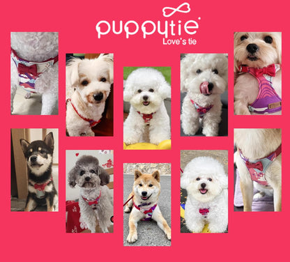 Puppytie No Pull Dog Harness with Multifunction Dog Leash,Soft Adjustable No Choke Escape Proof Pet Harness Vest for Medium Dogs,Suede Bow Wine red,M