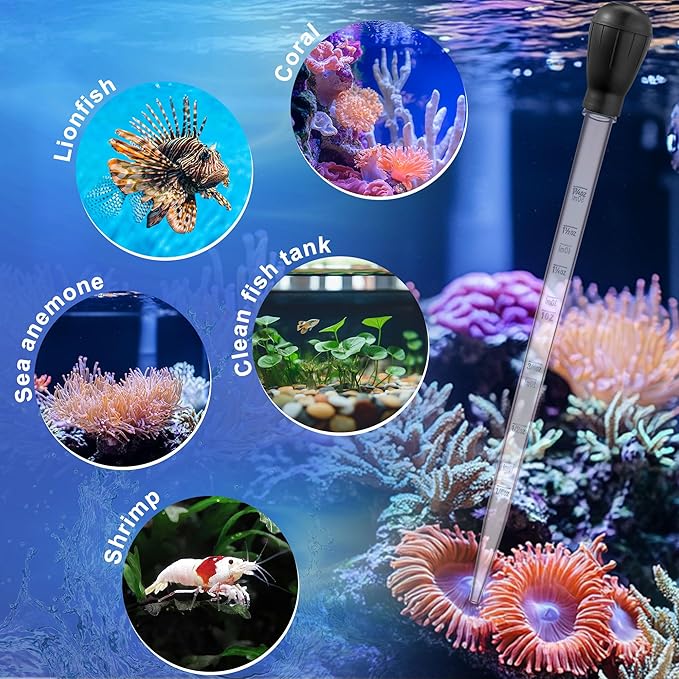 4 in 1 Aquarium Coral Feeder Kit, 2pcs Coral Feeder, with 2pcs Feeding Long Tweezers for Aquarium Marine Fish Reef Aquatic Plant Spider Snake Lizard (Black)