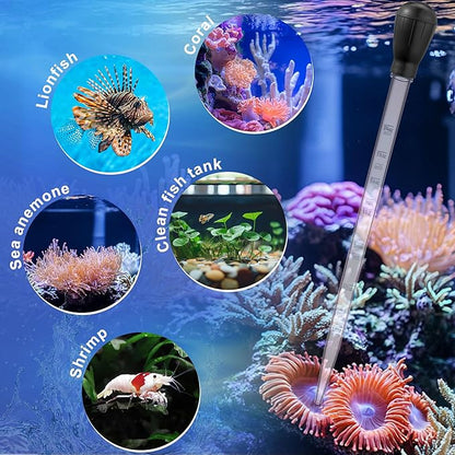 4 in 1 Aquarium Coral Feeder Kit, 2pcs Coral Feeder, with 2pcs Feeding Long Tweezers for Aquarium Marine Fish Reef Aquatic Plant Spider Snake Lizard (Black)