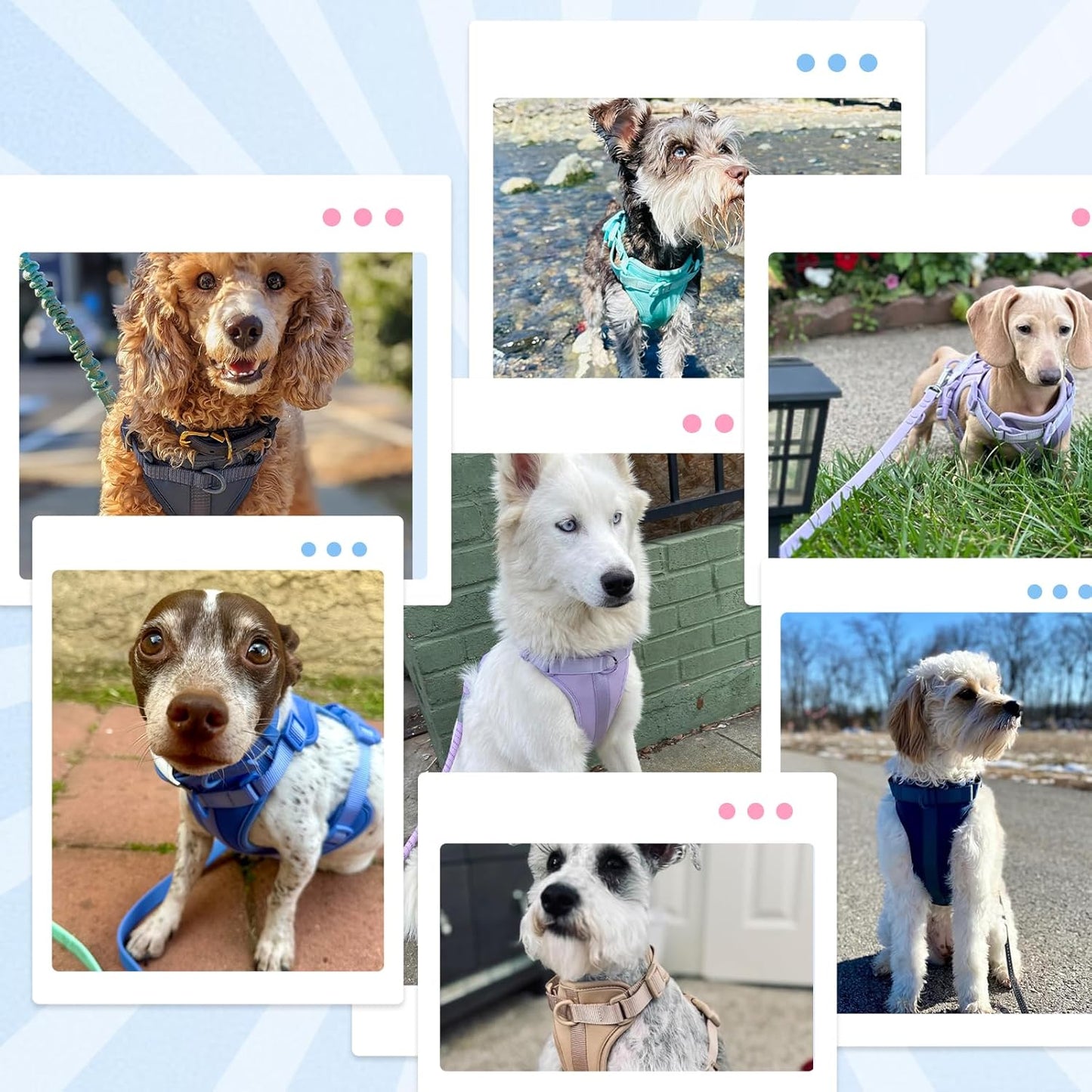 No Pull Lightweight Dog Harness: Adjustable Durable Breathable Mesh Pet Vest Harness with Soft & Comfortable Cushion, for Small Medium Large Dogs (L, Pine Green)