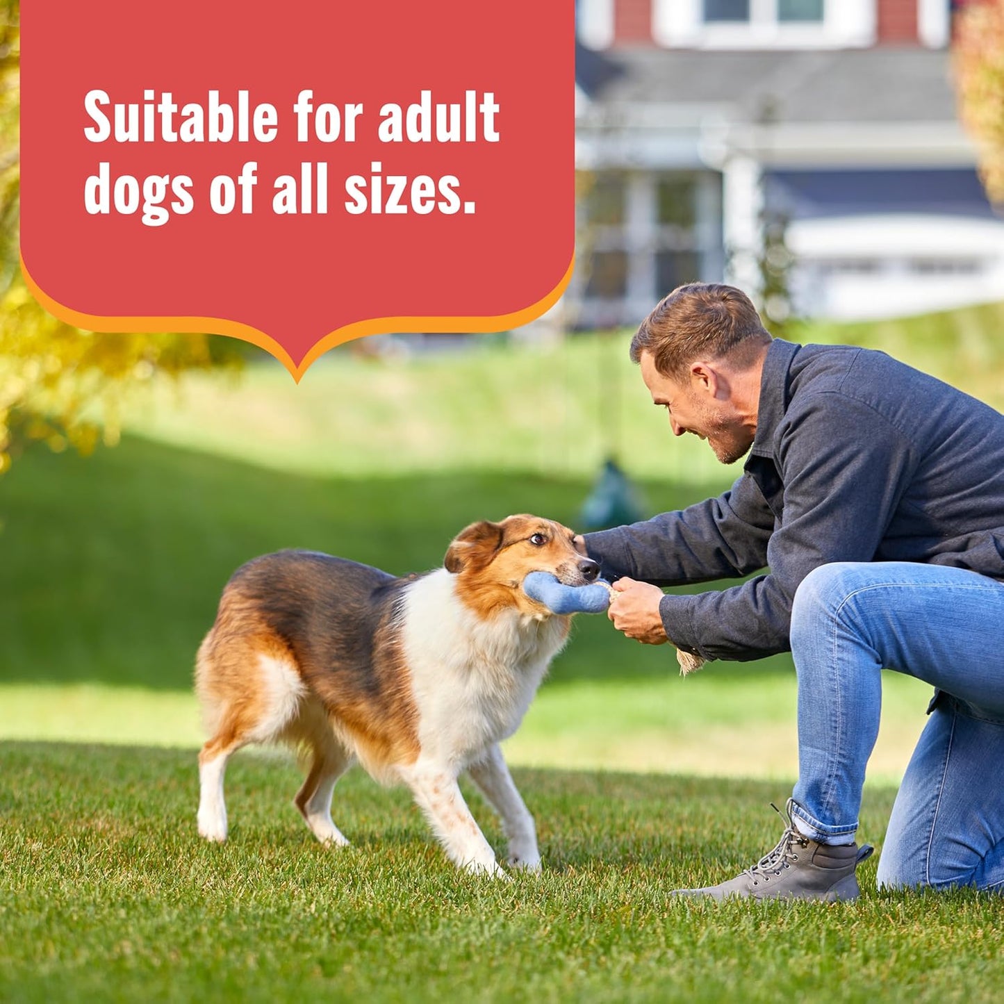 Nutrish Gentle Digestion Premium Paté and Chunks in Gravy Variety Pack Wet Dog Food, 13 oz. Can, 12 Count (Rachael Ray)