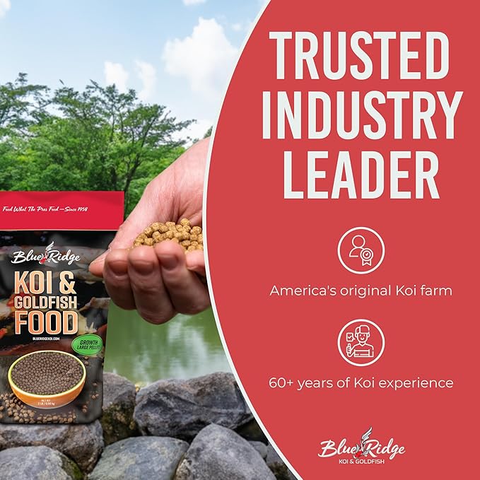 Blue Ridge Koi Fish Food 2lb - Koi Food Large 3/16" Growth Formula, Goldfish Food, Premium Fish Food for Ponds, Ponds Fish Food, Floating Pond Pellets