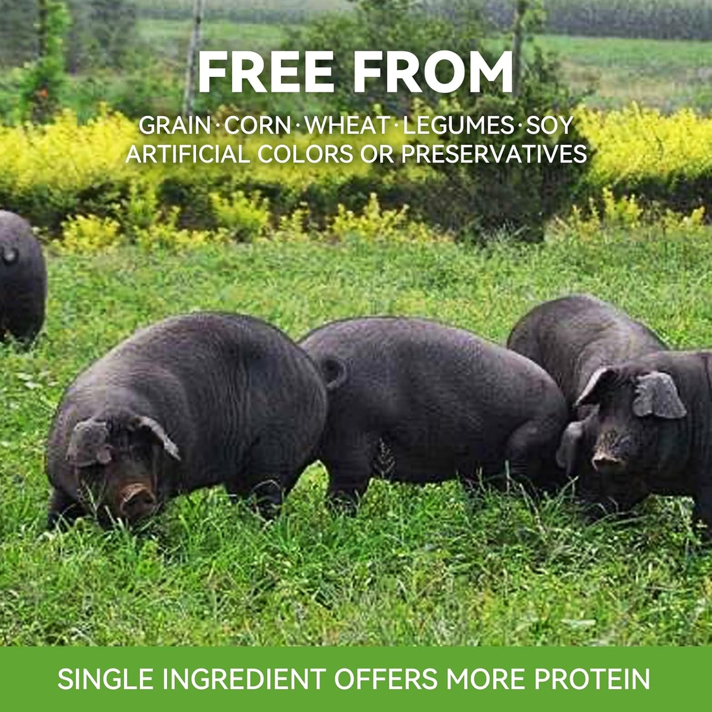 OPET Freeze Dried Cat Treats, Single Ingredient Grain Free High Protein Pet Food for Cats and Dogs, Healthy Training Snacks Sliced Fillets (Pork, 1.48 Ounce)