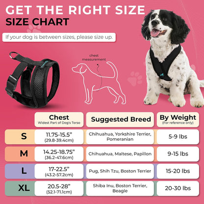 Gooby Comfort X Head In Harness - Black, Medium - No Pull Small Dog Harness Patented Choke-Free X Frame - Perfect on the Go Dog Harness for Medium Dogs No Pull or Small Dogs for Indoor and Outdoor Use