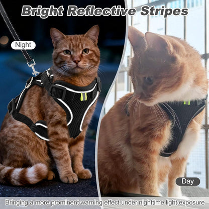 Kitten Cat Harness and Leash Set, Escape Proof Soft 4-Adjustable Cat Walking Vest Harness, Reflective Strips in Harness for Kitty Puppy Bunny Car Travel, with Car Seatbelt Leash (Black, XS)