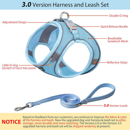 AIITLE Small Harness for Puppy with A Leash - Summer Dog Vest Harness with Super Breathable Mesh, Reflective No-Pull Pet Harness for Outdoor Walking, Camping for Small Dogs, Cats Pure Blue XXS