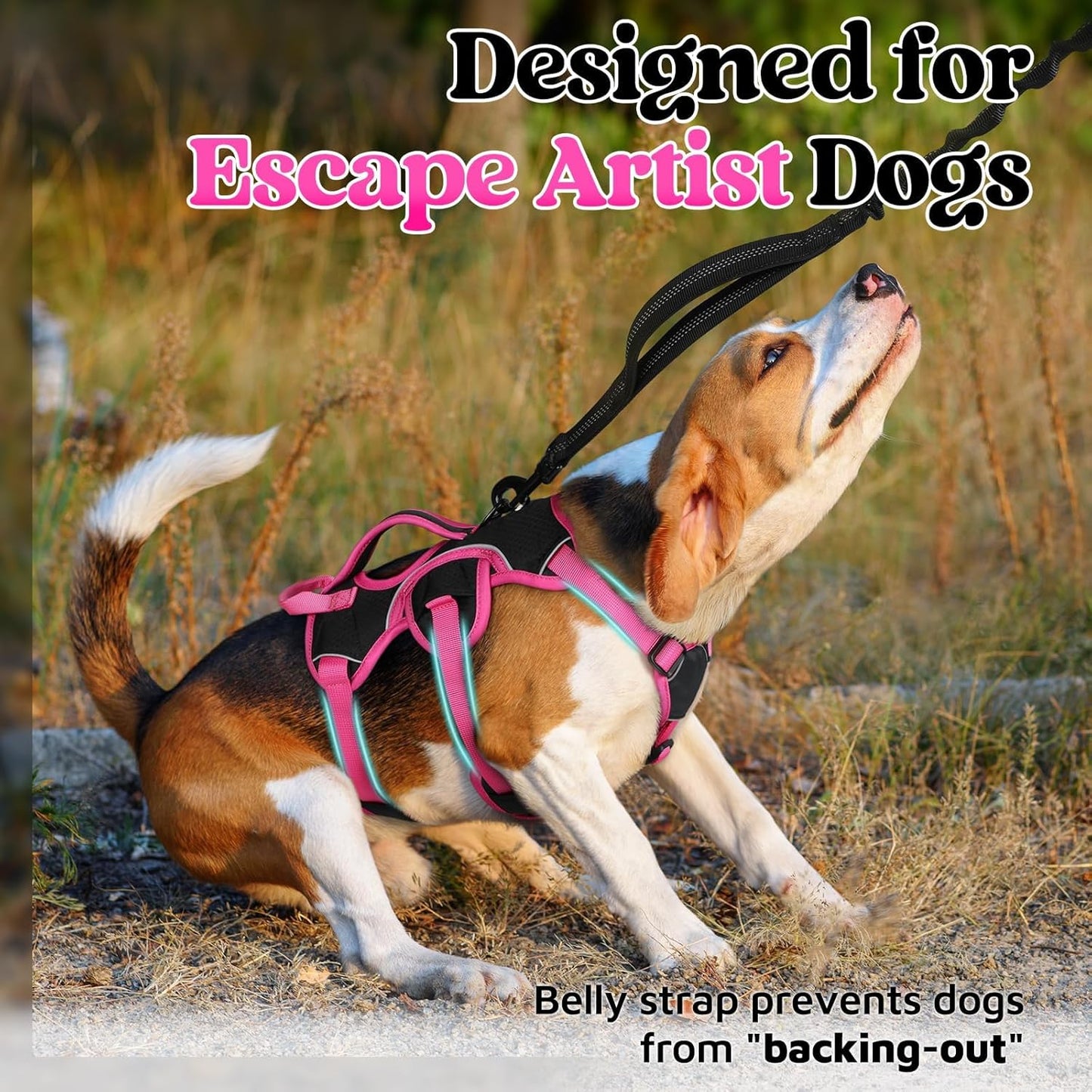 rabbitgoo Escape Proof Dog Harness Small Sized Dog, Soft Padded Full Body Pet Harness, Reflective Adjustable Vest with Lift Handle and Leash Clip for Walking Hiking Training, Pink & Black, S