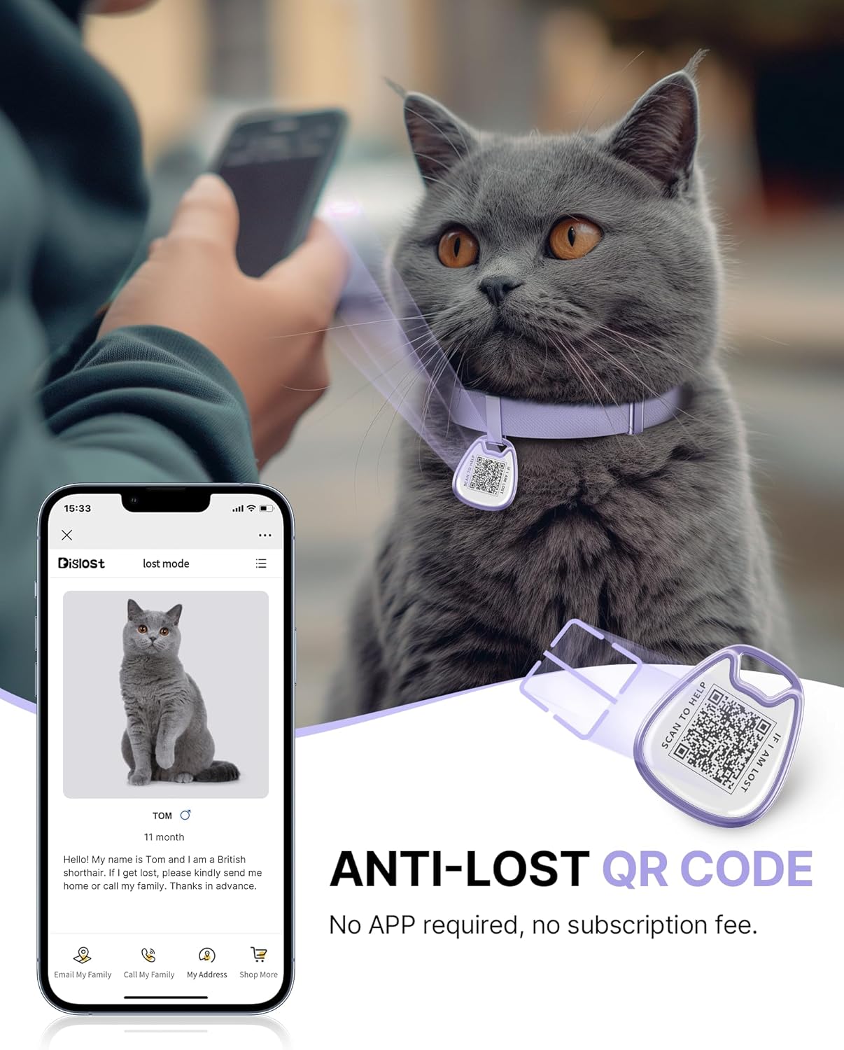 Cat Collar with QR Code Name Tag, Breakaway Kitten Collar for Boy & Girl Cats, Ultra Soft Elastic Adjustable Band, Safety Break Away Buckle, Comfortable & Secure Pet ID Collar (6"-12"), Purple