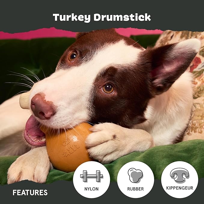 Barkbox Super Chewer Tough Dog Chew Toys for Aggressive Chewers, Dental Stimulating (Turkey - Large)