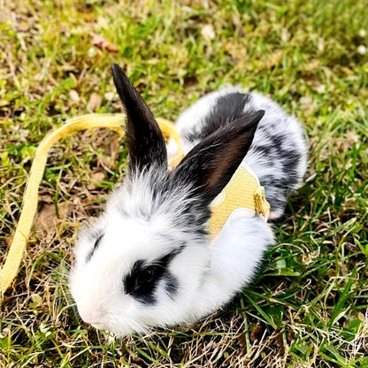 2-Pack Rabbit Harness and Leash Set – Adjustable Small Animal Vest Harness with Safety Buckle – Breathable & Lightweight – Ideal for Rabbits, Ferrets, Guinea Pigs, and Cats (Yellow)