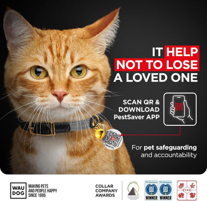 WAUDOG Ultra Soft Rolled Leather Cat Collar with Removable Bell, Safety Elastic Strap and QR ID Tag - Soft Padded for Small, Medium, and Large Cats - Round Kitten Collar for Male and Female Cats