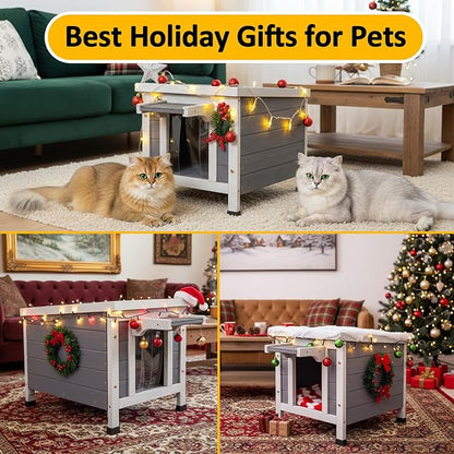 Insulated Outdoor Cat House - All-Weather Proof Shelter with Thermal Layer, Elevated Floor & Asphalt Roof for Winter, Weatherproof & Warm Shelter for Cats