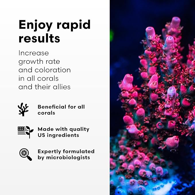 Brightwell Aquatics CoralAmino - Complex of Amino Acids for Corals - Coral Food for Aquarium Coral Growth - Saltwater Aquarium Treatments, 67.6 fl oz