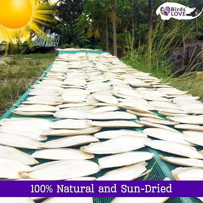 Birds LOVE Natural Cuttlebone – Premium Calcium & Trace Mineral Supplement for Avian Species, Tortoises, and Snails – Pure Cuttlebone for Parakeets and All Birds - 12 Pack, Size 3.5 to 4"