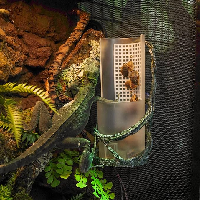 OIIBO Chameleon Feeding Bowl, Resin Vine Reptile Feeder with Grid Plate for Insect to Climb and Move, Reptile Hunting Bowl with Suction Cup for Chameleon, Lizard, Bearded Dragons, Iguana, Gecko, Frog